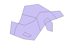 Result Polygon Layer