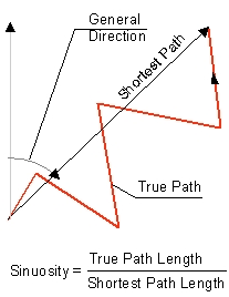 Polyline Characteristics