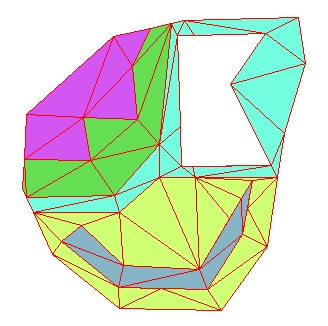 Triangulated Polygons