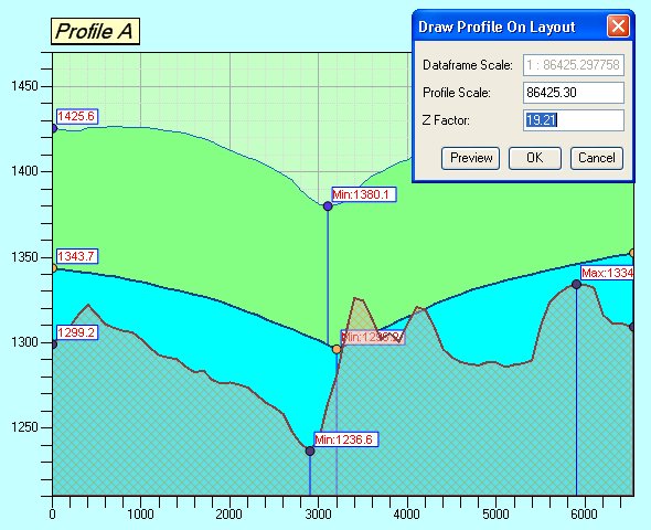 Profile on Layout Form